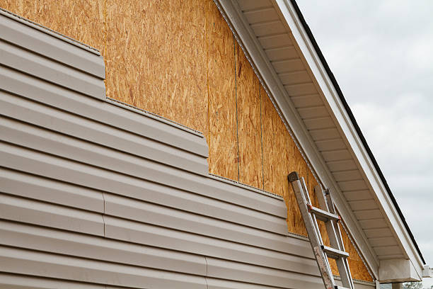 Professional Vinyl Siding technician working in The Plains, VA